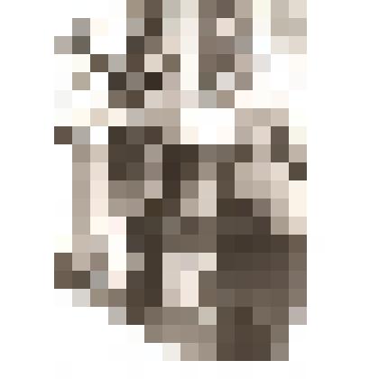 Фотография. Павлов Петр Павлович – руководитель фотокружка при Самойловской средней школе