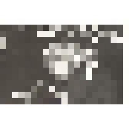 Гулагин В.В., АТП