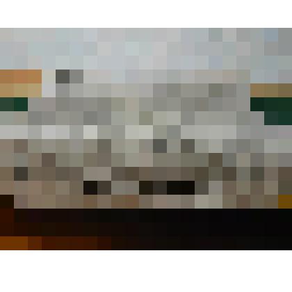 Плпток серый