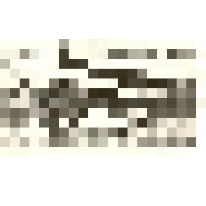 Фотография: панорама с.Камень Барнаульского уезда Томской губернии. Копия