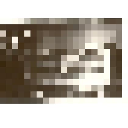 Фотография: экспозиция Каменского краеведческого музея. Отдел сельского хозяйства