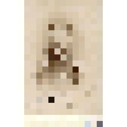 Фотография черно-белая. Шульман Магнус Александрович