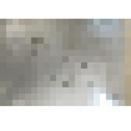 Фотокопия плана застройки левой стороны дома Д.В. Давыдова