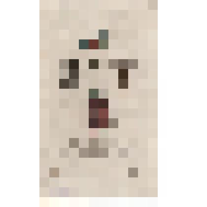 Гравюра. Bupreftis Chryfis, Pall