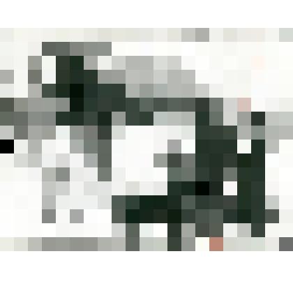 Фотография. Семья Поповых провожает сына с женой в город