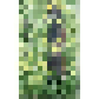 Этюд. "Дождь лил..."