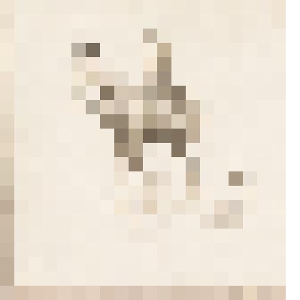 Охотник с собаками, из альбома  «190 пейзажей; зарисовки, иллюстрации, карикатуры»