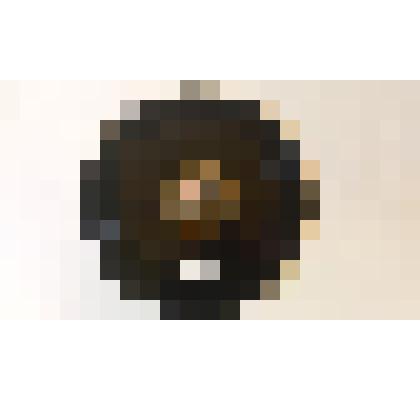 Граммофонная пластинка с записью голоса Л.Н.Толстого «В чем моя вера?»»