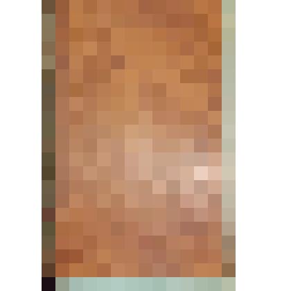 Книга. Иоанн Златоуст. Беседы на Евангелиста Матфея. Ч.1. М.: Синодальная тип., ноябрь 1781 (7290) г