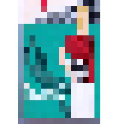 Книга. Вратарь республики