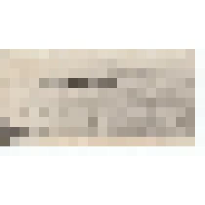 Ф/чб. Пароход на Волге у г. Покровска-Энгельса. 1920-1940