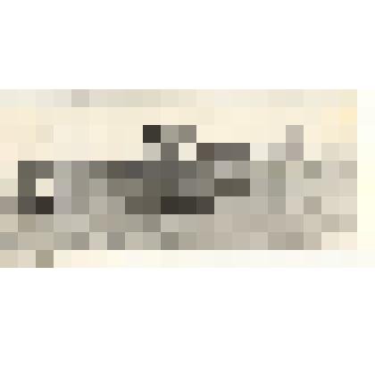 Фотография: сев зерновых культур в Чапаевском отделении совхоза "Октябрь" Каменского района Алтайского края