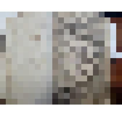 Книга "Ольденбургский хроникон". Автор Герман Хамельманн