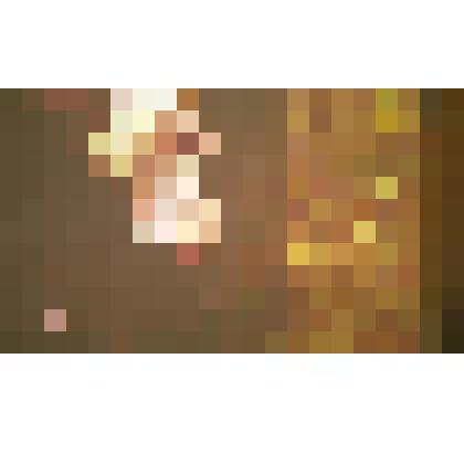 Из видеоинсталляции «Узел под соснами. Двойной сеанс». Фотография