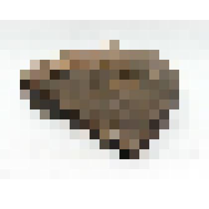 Донце (фрагмент) сосуда красноглиняного