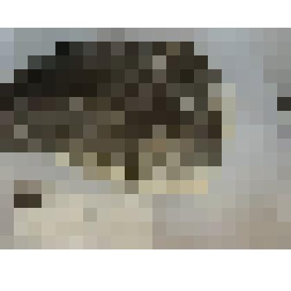 Кальцит и бурый железняк по кварцу