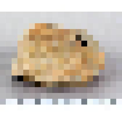 Заготовка рубящего орудия, обломок