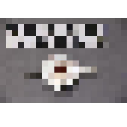 коллекция В.Ф. Лагодича. Перстень. Выполнен в виде восьмилистника на каждом «листе» просверлено отверстие и рядом гравировка в виде полумесяца. В центре перстня закреплен камень коричневого цвета, вокруг него гравировка – круг. Выполнен в виде традиционно