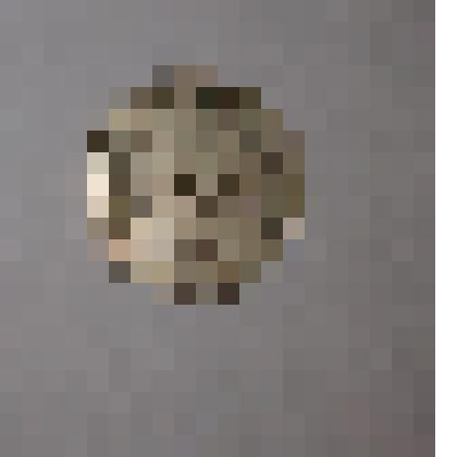 Монета номиналом 20 копеек 1984 г СССР