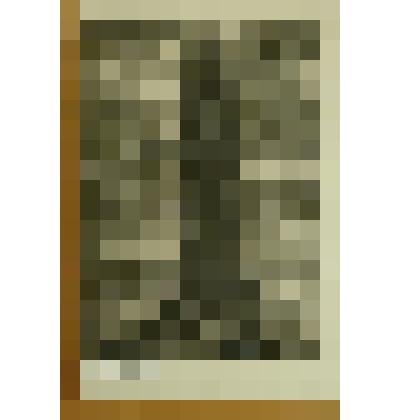 Священное дерево адыгов