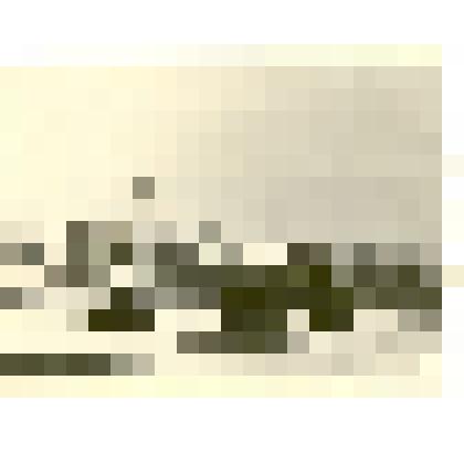 Фотография: колонна учащихся школы механизации на демонстрации 7 ноября 1957 года в г.Камень-на-Оби Алтайского края