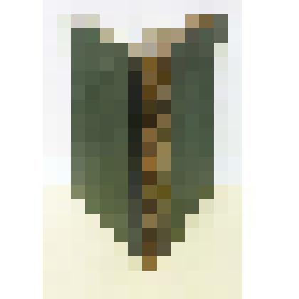 Энциклопедический словарь   Том 60
под редакцией К.К.Арсеньева и проф. Ф.Ф.Петрушевского