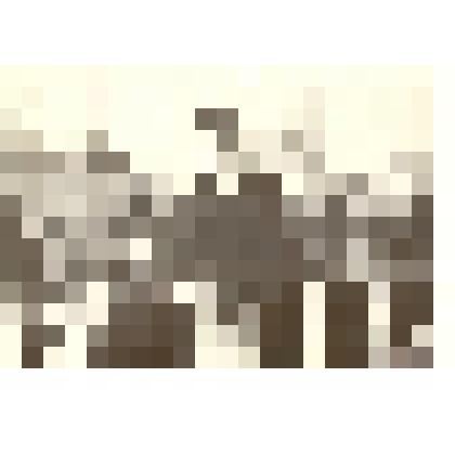 Фотография. Демонстрация 7 ноября 1967 года в г.Камне-на-Оби Алтайского края