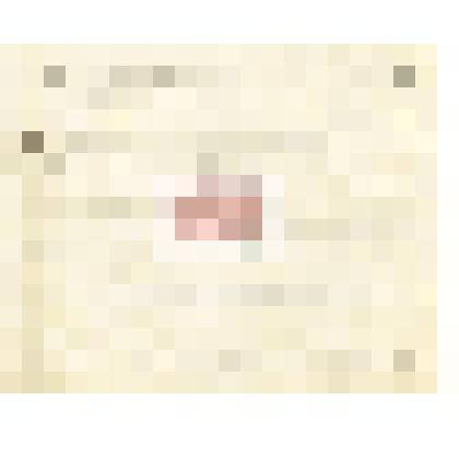 Телеграмма Э. Петри    Николаю Михайловичу Мартьянову: убедительно прошу, срок пустяки