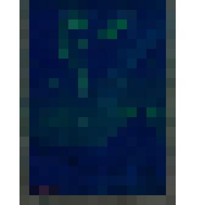 Северное сияние