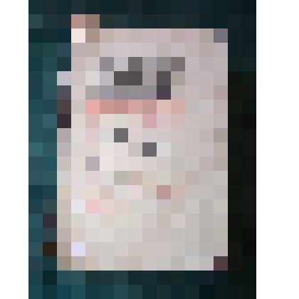 Кормчая, конец 19  ̶  начало 20 века