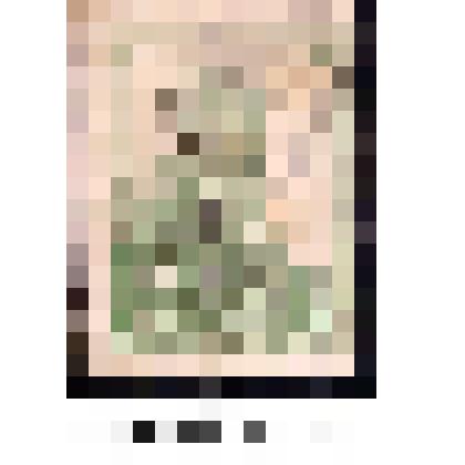 Марка, номиналом 2 копейки золотом. Стандартный выпуск