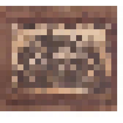 Делегаты 1 Съезда представителей батрачества и бедноты Северо-Двинской губернии