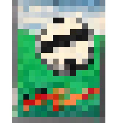 Книга. Вратарь республики. Роман