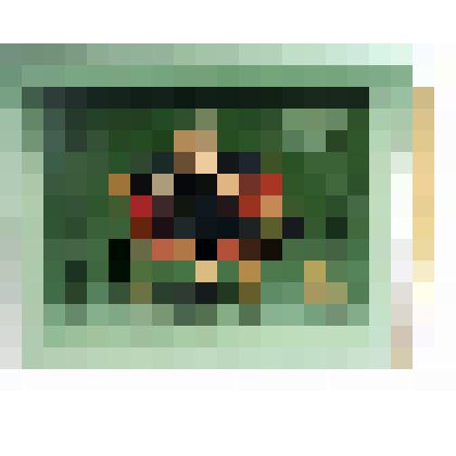 Картина "Дырявый аристократизм"