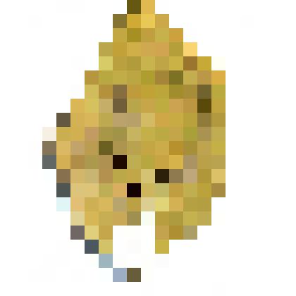 Pecopteris helenaeana Zal