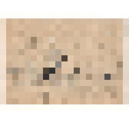 к картине "Конец  Вильгельма Густлова". Эскиз