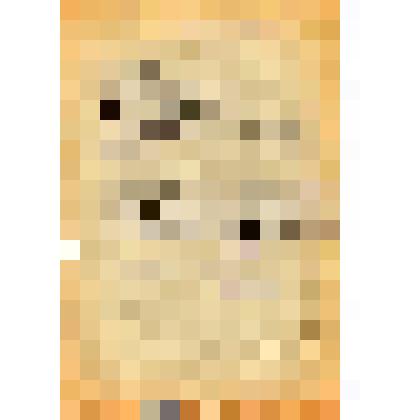 Решение Энгельсского горсовета депутатов трудящихся об отводе земельного участка под строительство пристройки экспозиционного зала к краеведческому музею по ул. Горького. Копия