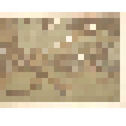 Паровозное депо