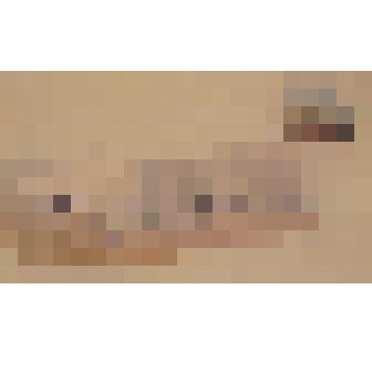 Фотокопия цветная с рисунка Н.П.Краснова. Эскиз двух пристенных скамеек.1910 - 1911 гг