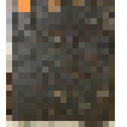 Книга. Псалтырь