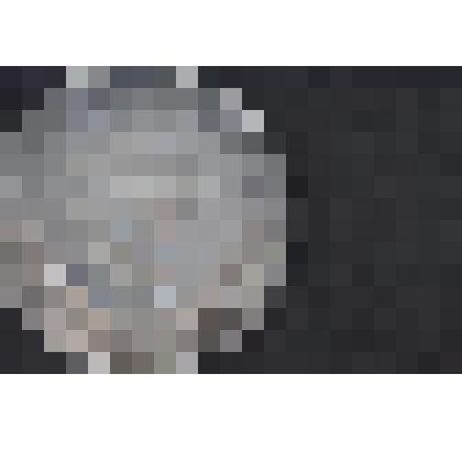 Монета 10 чон