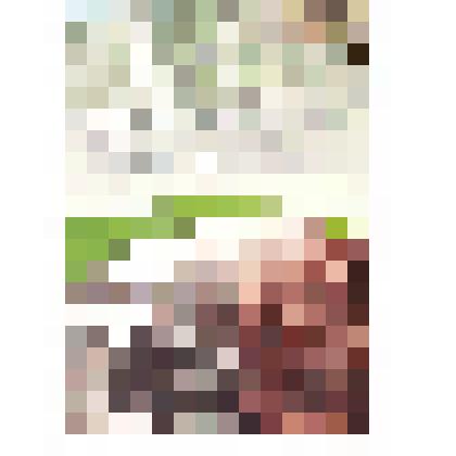 Книга "Память сквозь годы ведет за собой"