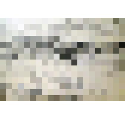 Картина. Пос. Каяк, р. Котуй (Таймыр)