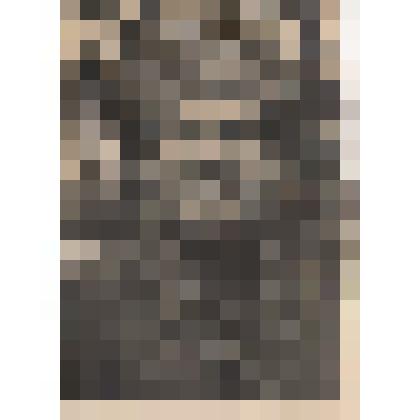 Ф/чб. Жамалов Невер Жамалович, ст. лейтенант, зам. ком. роты п/пч 58-го инж-сап Бат-на 68 отд. инж-сап. Бр, участник ВОВ. Бреславль. 1945