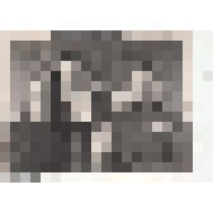 Ф/чб. Жамалов Н. Ж., майор (участник ВОВ) с семьей (женой и 2 дочерьми). 25.10.1952