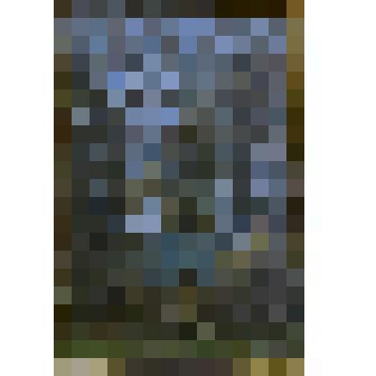 Картина. "Погост Прутня"