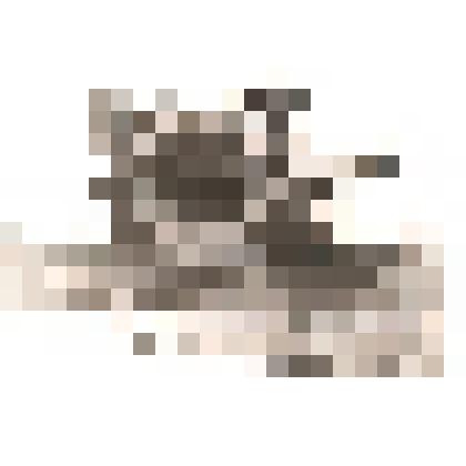 Фотография. Уборка подсолнечника   в колхозе «1 мая»