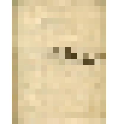 Ведомость о вдовах и сиротах по Сольвычегодскому Благовещенскому собору за 1853 год