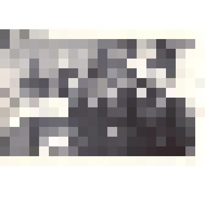 Фотография: встреча учащихся 7-й начальной школы г.Камня-на-Оби Алтайского края с Героем Советского Союза Шадриным Иваном Демидовичем