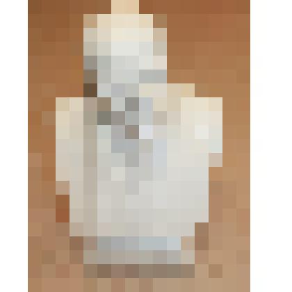 Гипсовый бюст В.И.Ленина